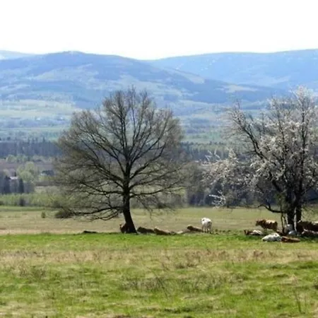 In Gajwka Mit Terrasse Und Garten Дом отдыха Gajowka (Lower Silesia)